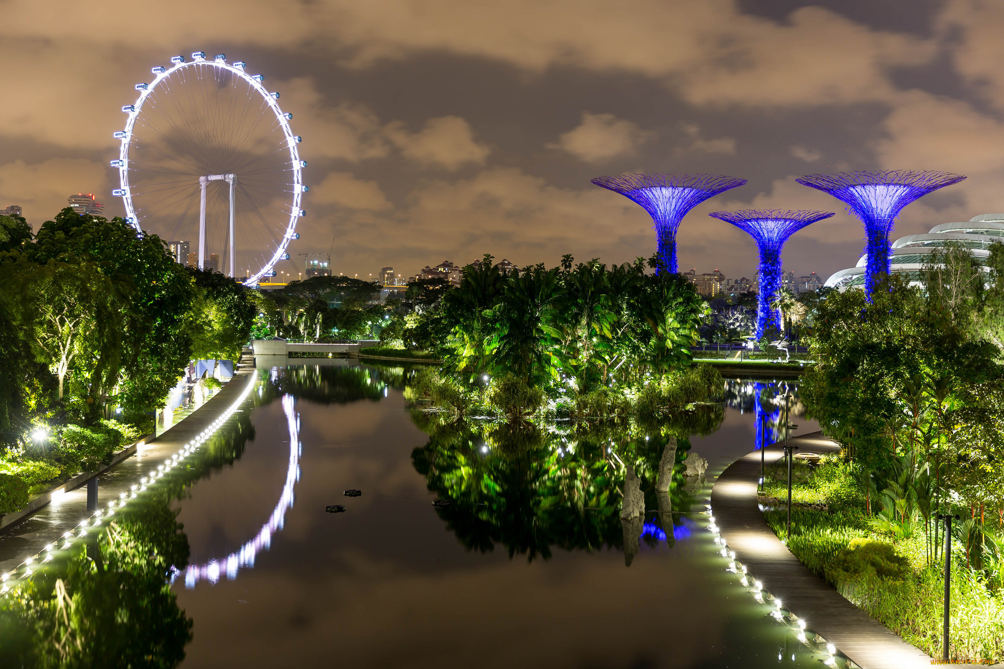 ,  , , , , singapore, night, lights